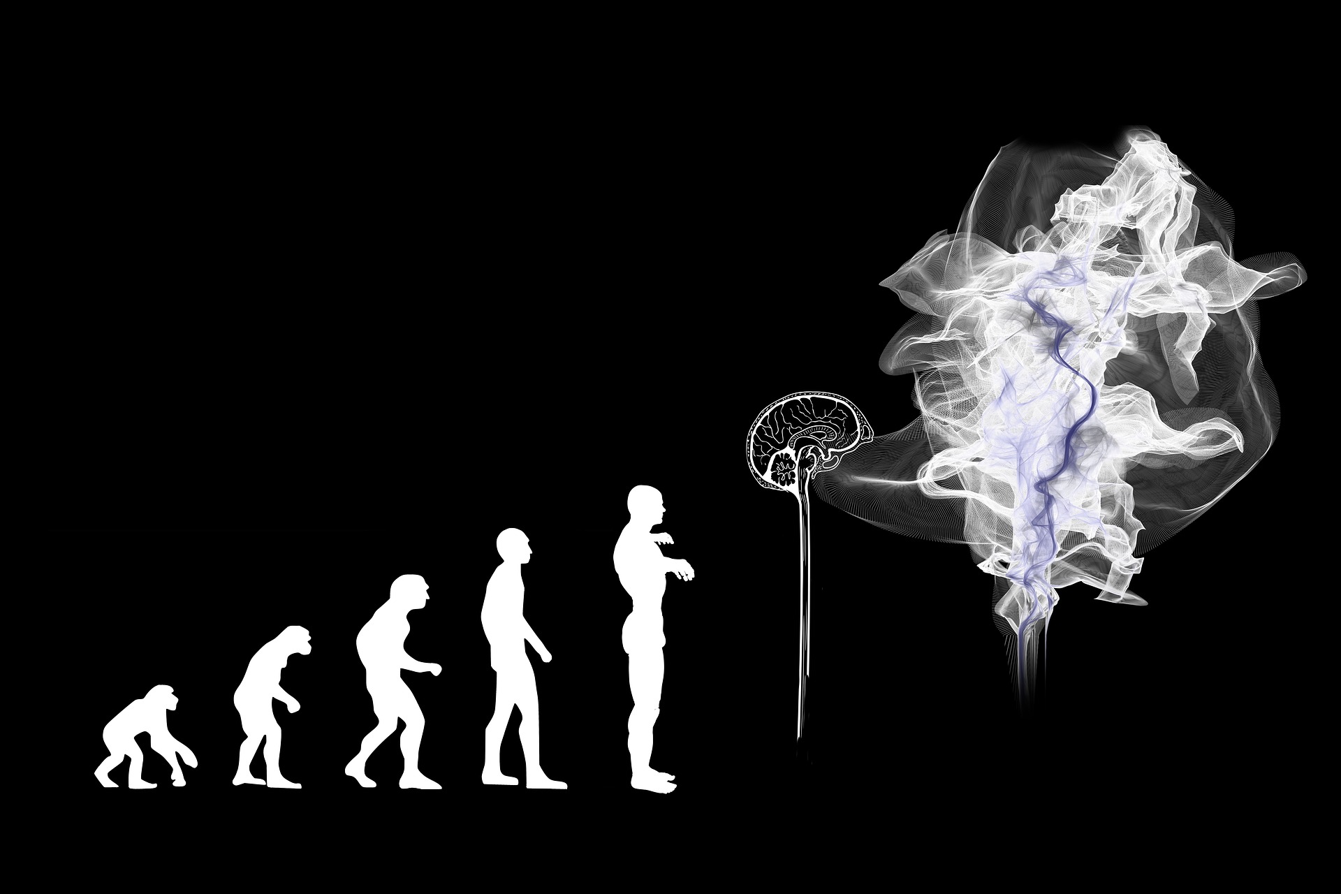 the evolution of man, finishing with a smoking brain